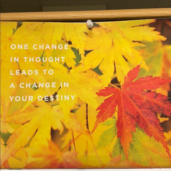 Meet your Posher, Stephanie - Picture 1 of 1